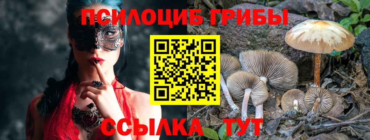 Ейск  Псилоцибиновые грибы мицелий  Вход с VPN 