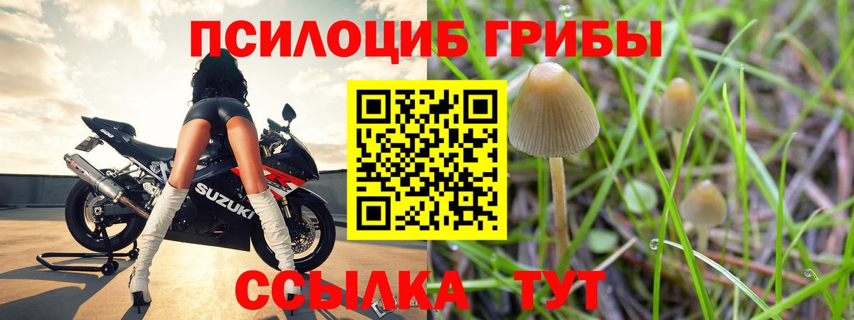 Псилоцибиновые грибы мухоморы Ейск